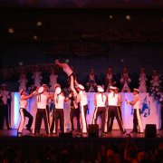 Altstadtfunken Leverkusen (24.01.08)